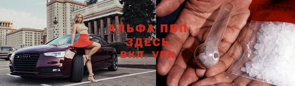 ПСИЛОЦИБИНОВЫЕ ГРИБЫ Бронницы