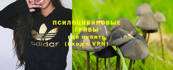 ПСИЛОЦИБИНОВЫЕ ГРИБЫ Бронницы