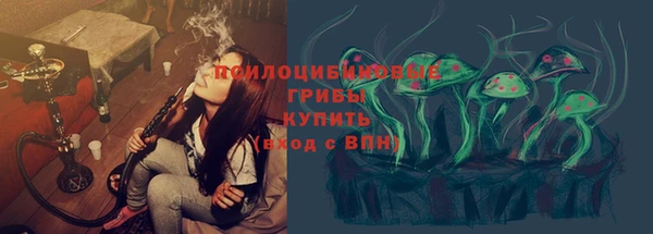 ПСИЛОЦИБИНОВЫЕ ГРИБЫ Бронницы