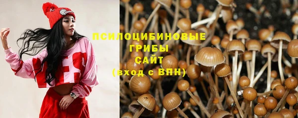 ПСИЛОЦИБИНОВЫЕ ГРИБЫ Бронницы