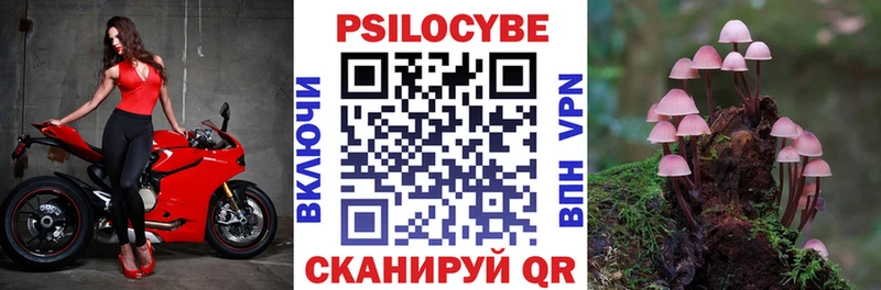 Галлюциногенные грибы Psilocybine cubensis  продажа наркотиков  сайты даркнета телеграм  Новочебоксарск 
